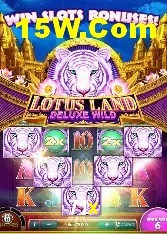 Apostas de Tênis 71x